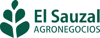 El Sauzal - Trabajando con el productor
