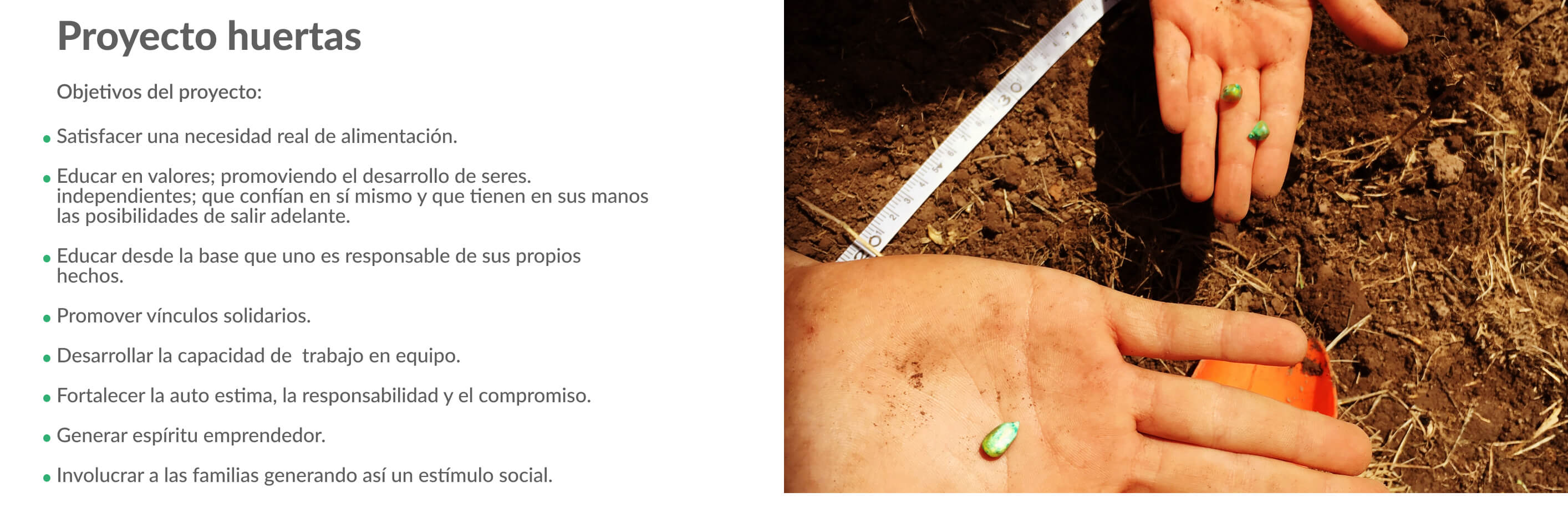 Proyecto Huertas