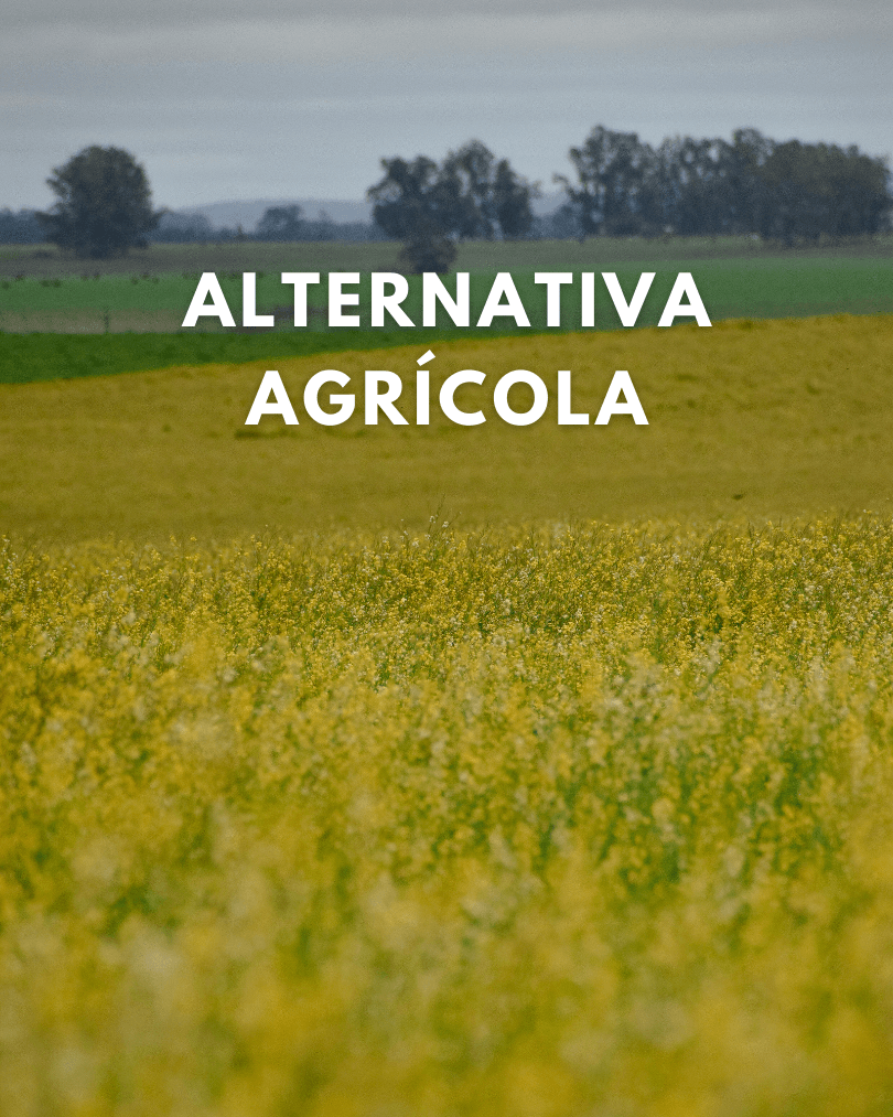 imagen galería