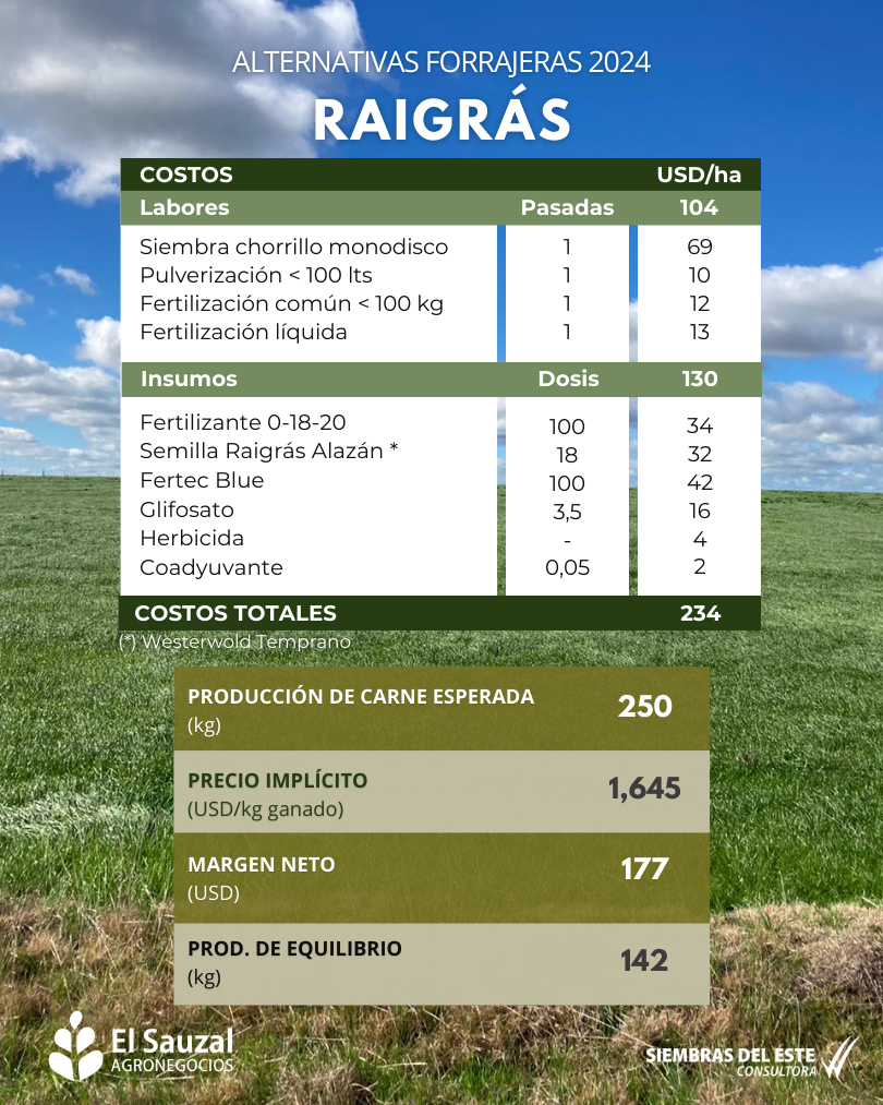 imagen galería