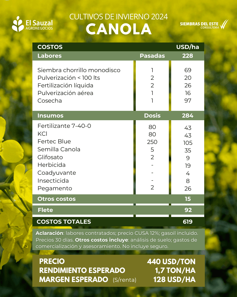 imagen galería