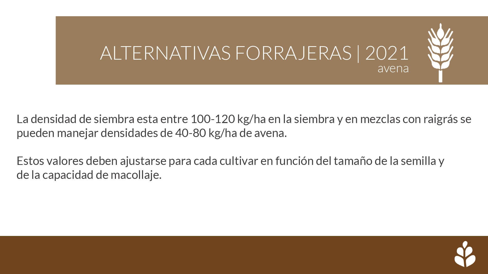 imagen galería