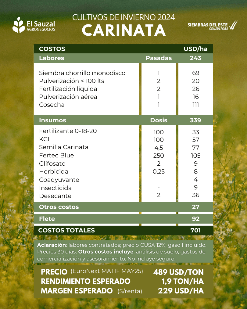 imagen galería
