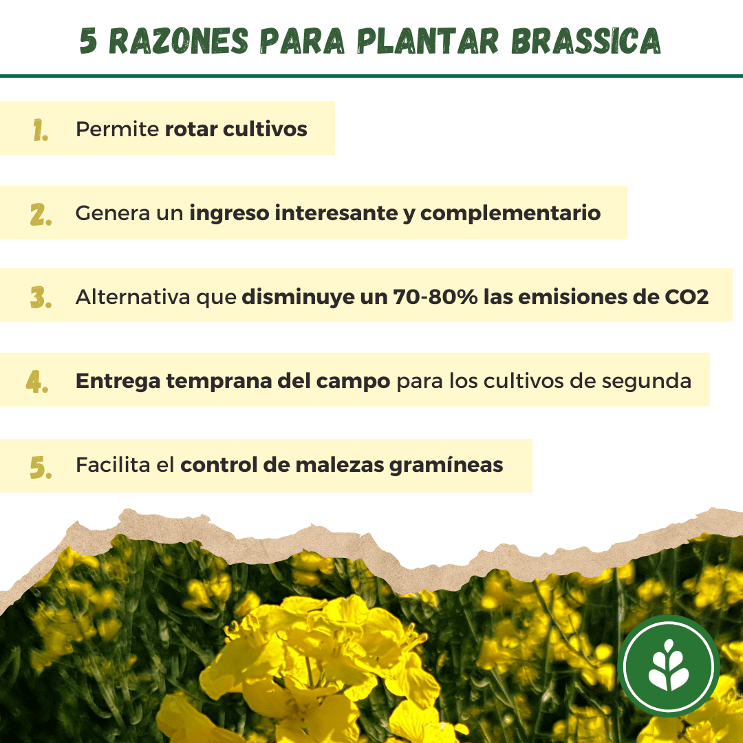 imagen galería