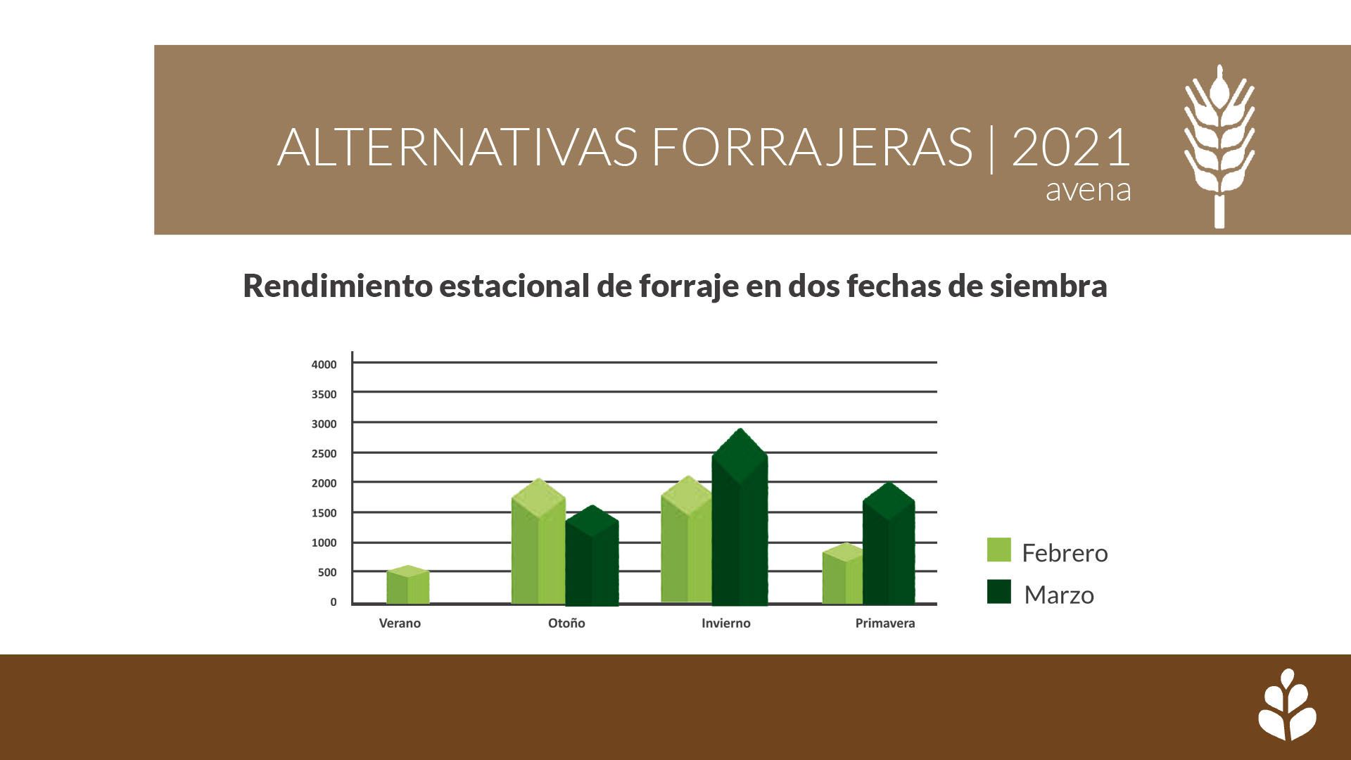 imagen galería