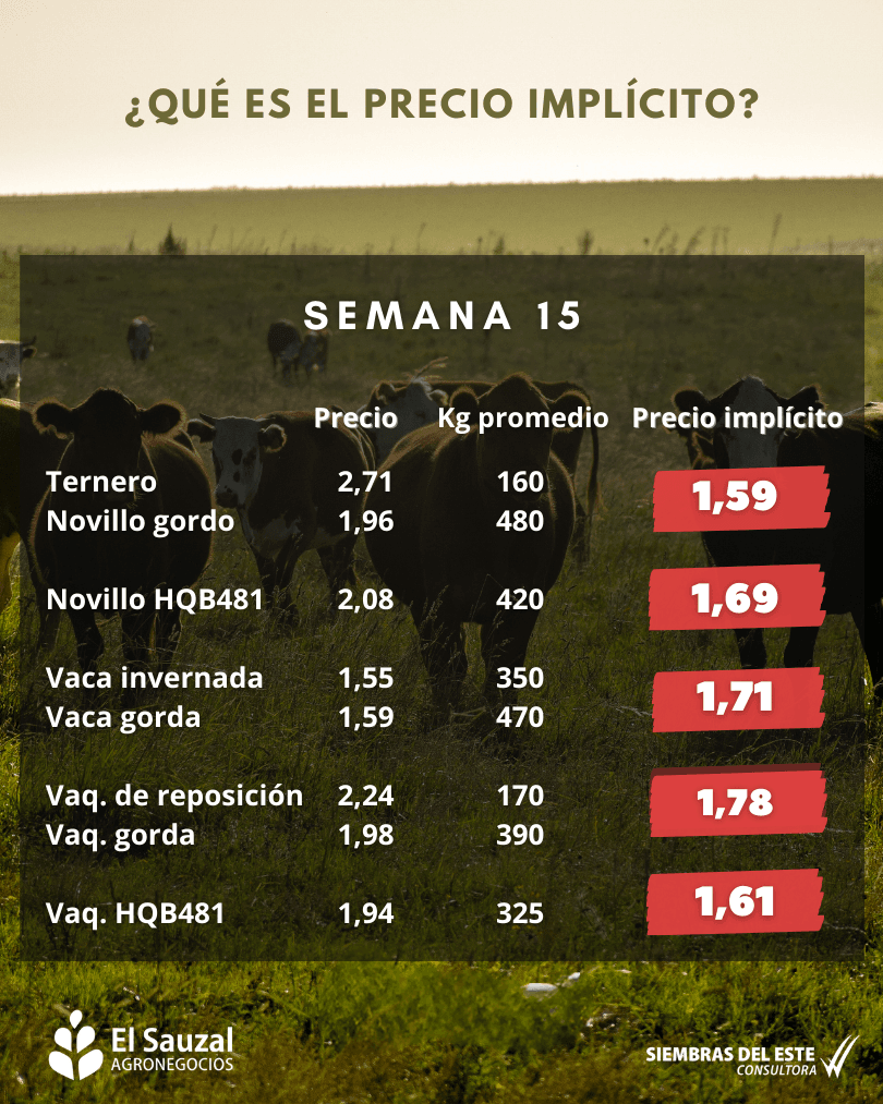 imagen galería