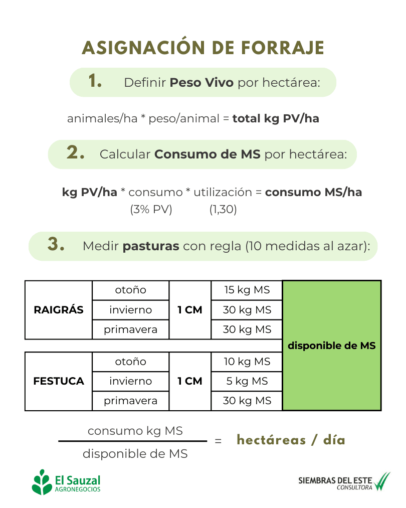 imagen galería