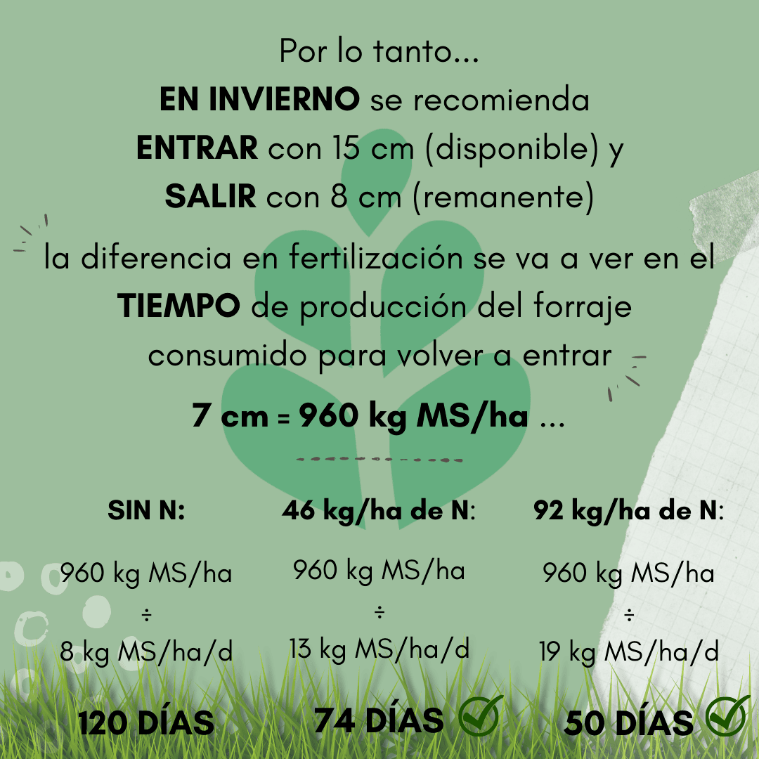 imagen slider