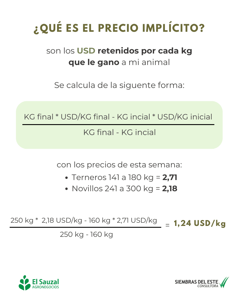 imagen galería