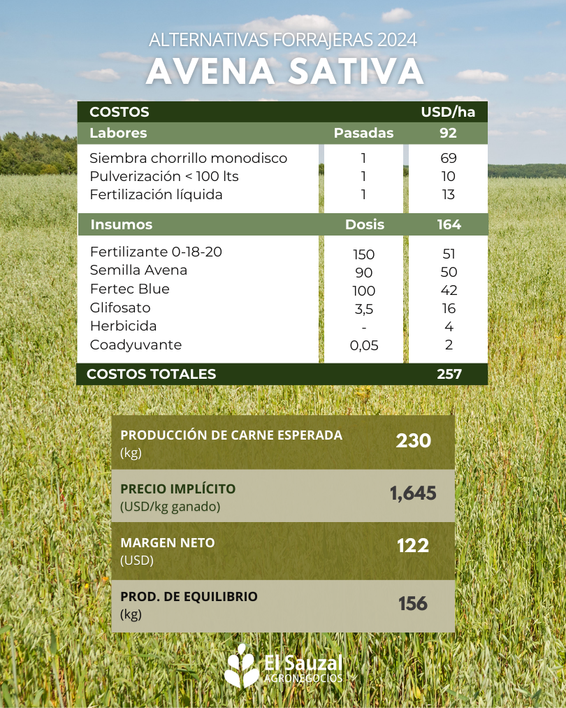 imagen galería