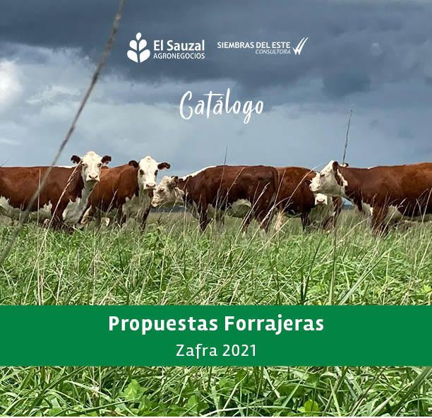 imagen slider