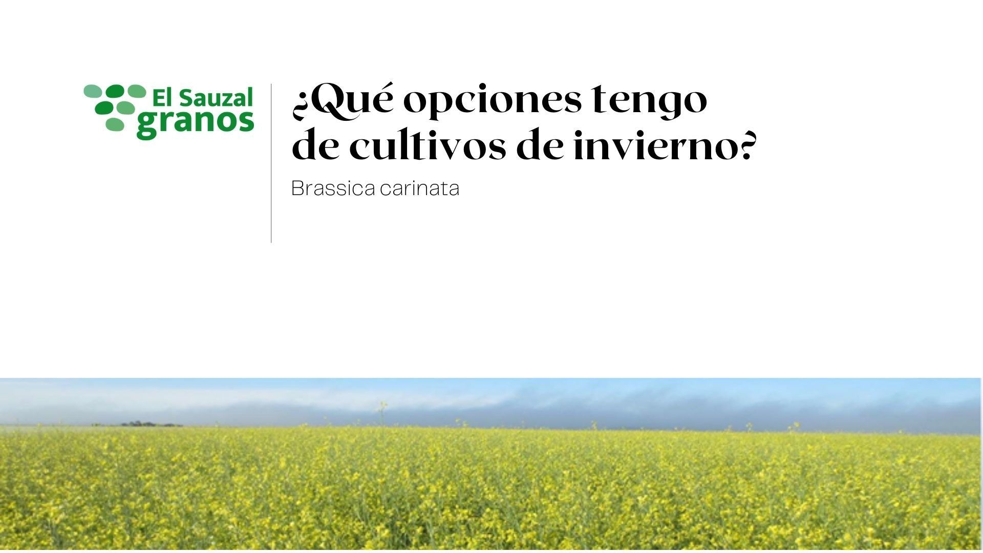 imagen galería