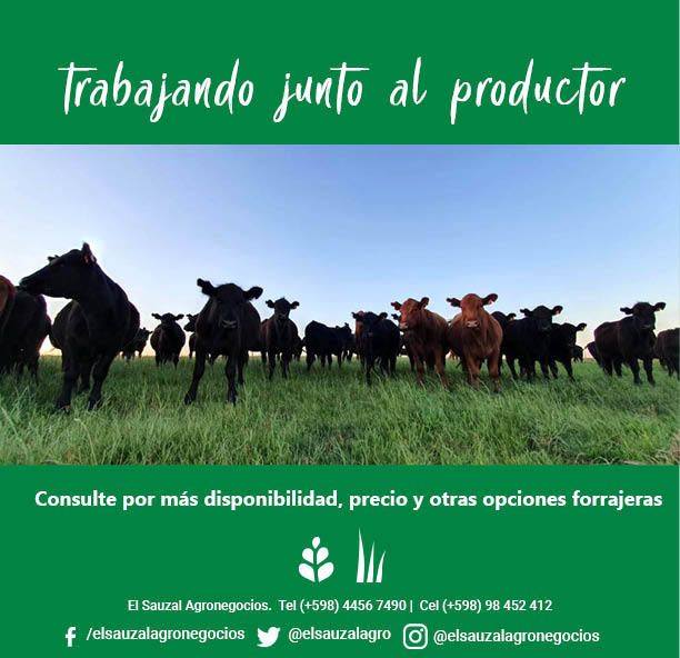imagen slider