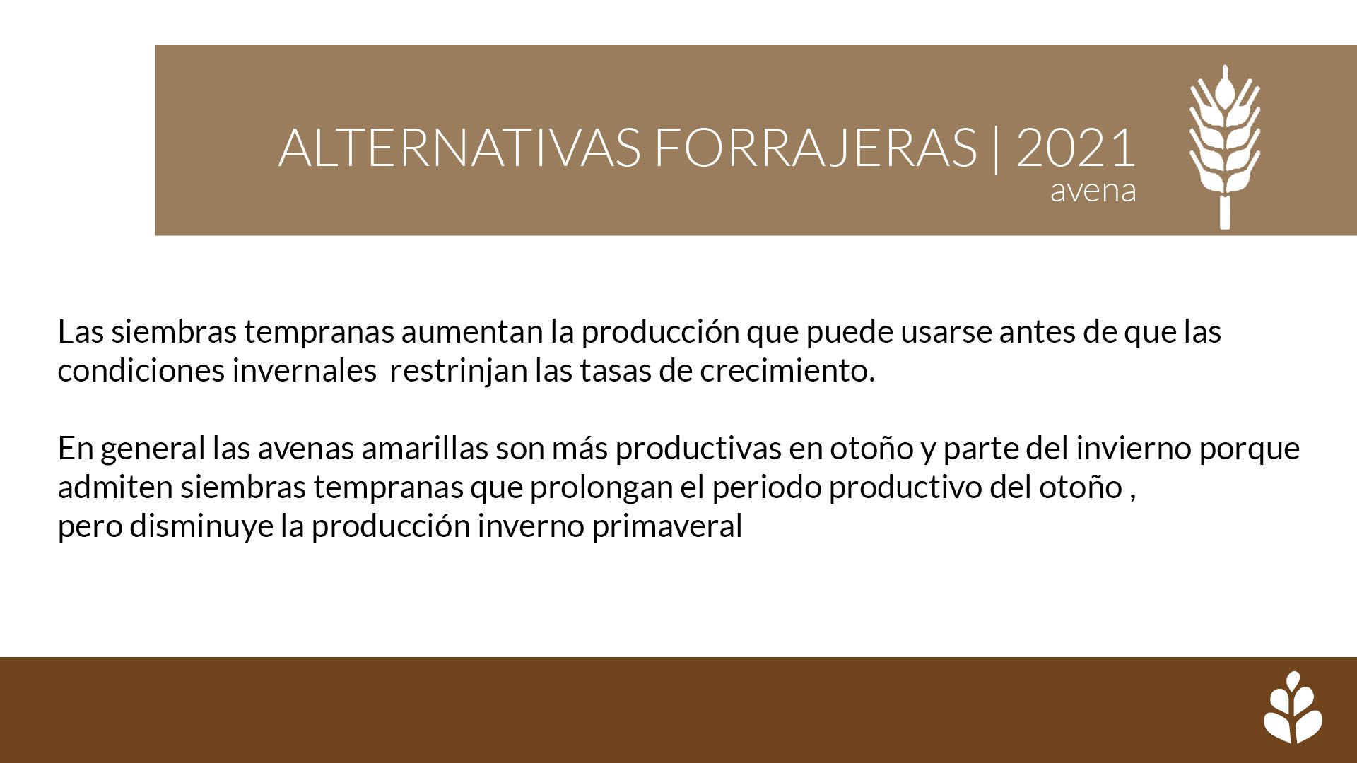 imagen galería