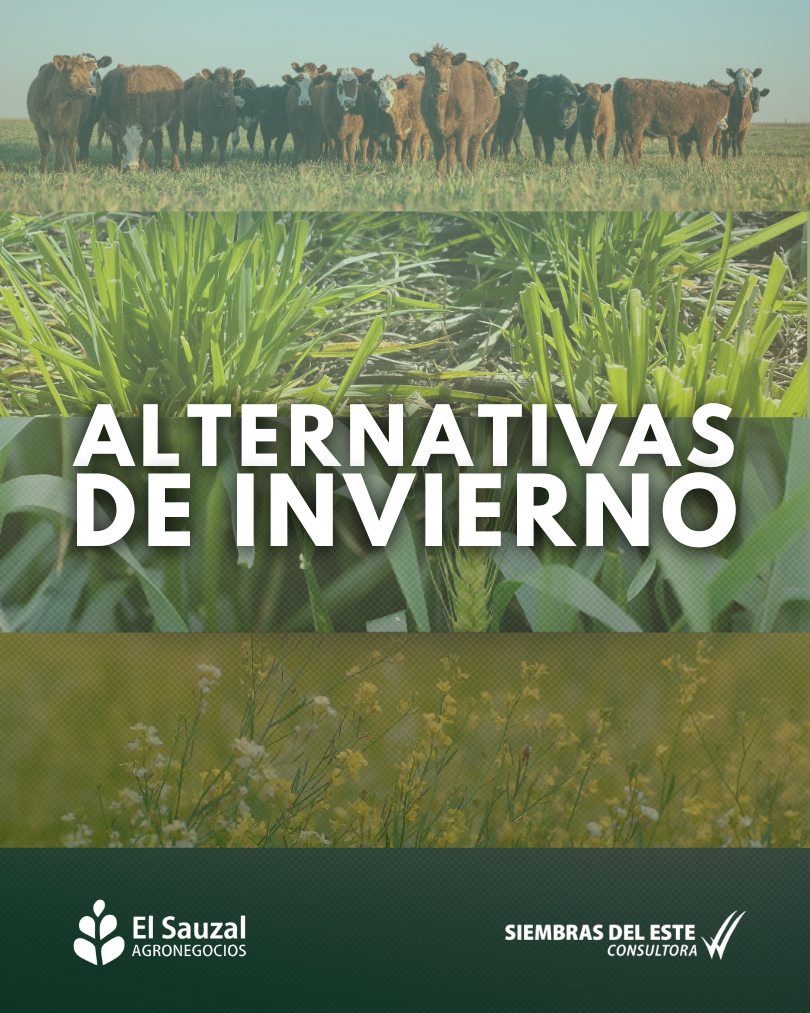 imagen galería