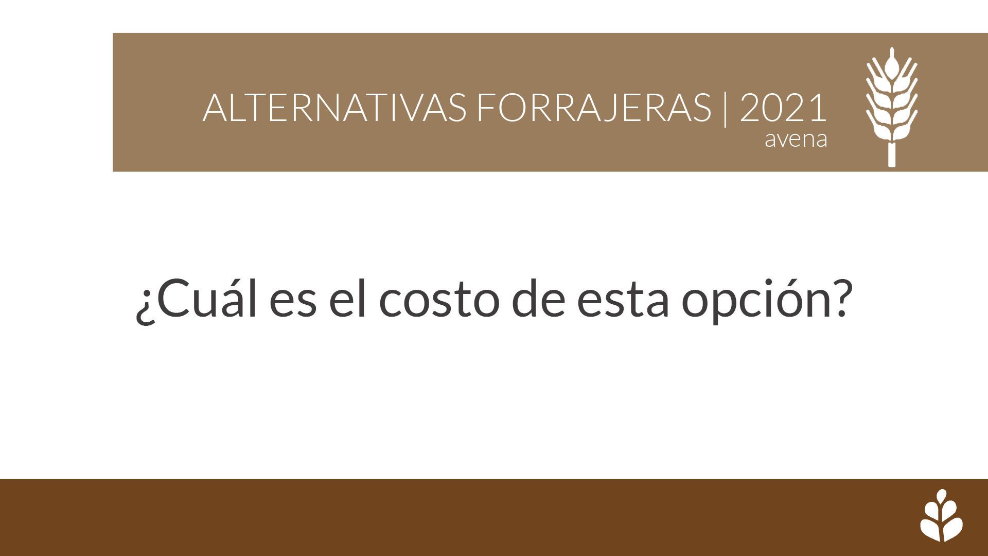 imagen galería