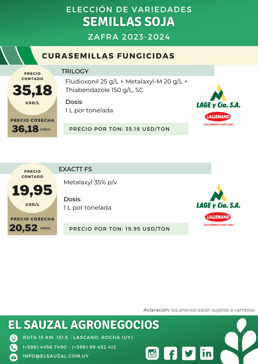 imagen galería