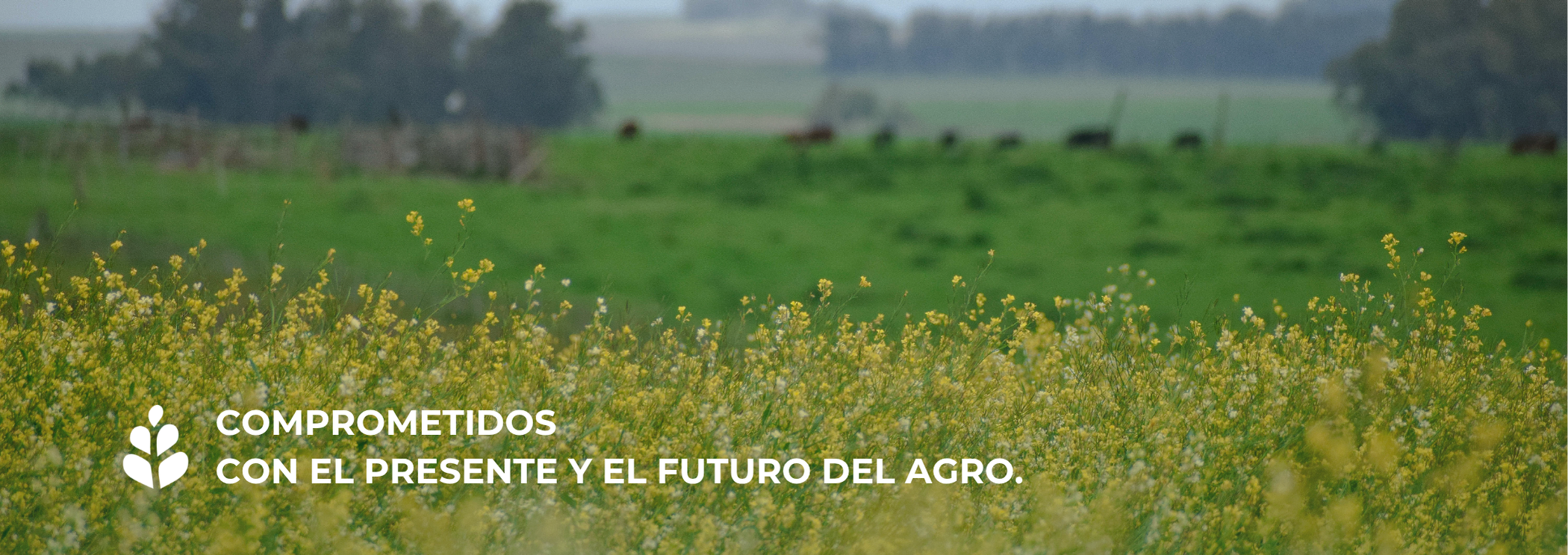 presente y el futuro del agro
