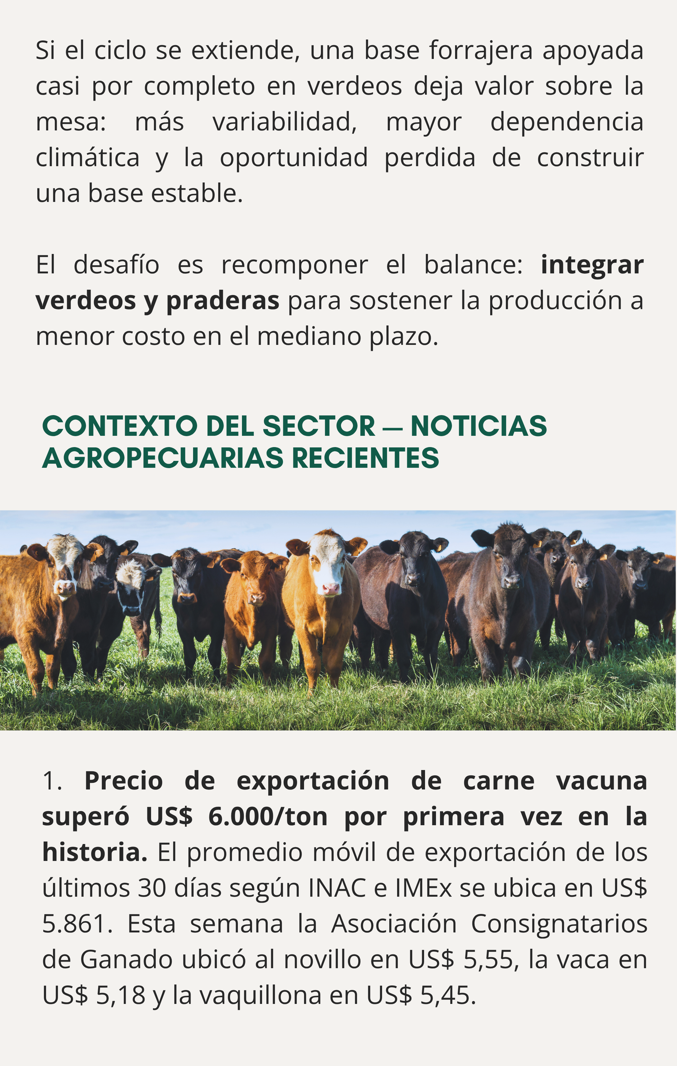 imagen galería